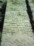 image of grave number 293836